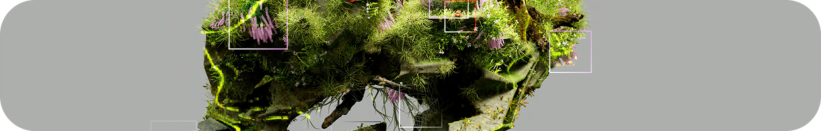 Lush green mossy landscape