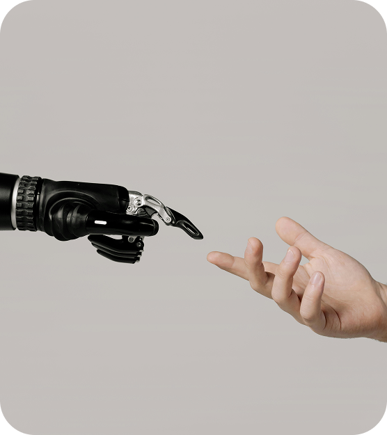 E-commerce optimization — human and robotic hands